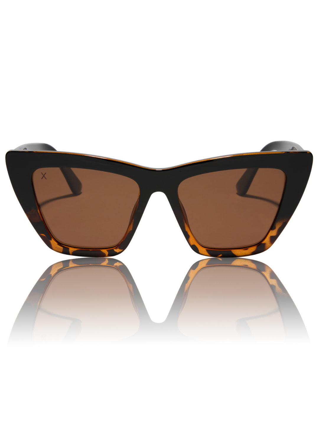 Front view of WINDSOR BLACK TORTOISE + BROWN POLARIZED sunglasses.