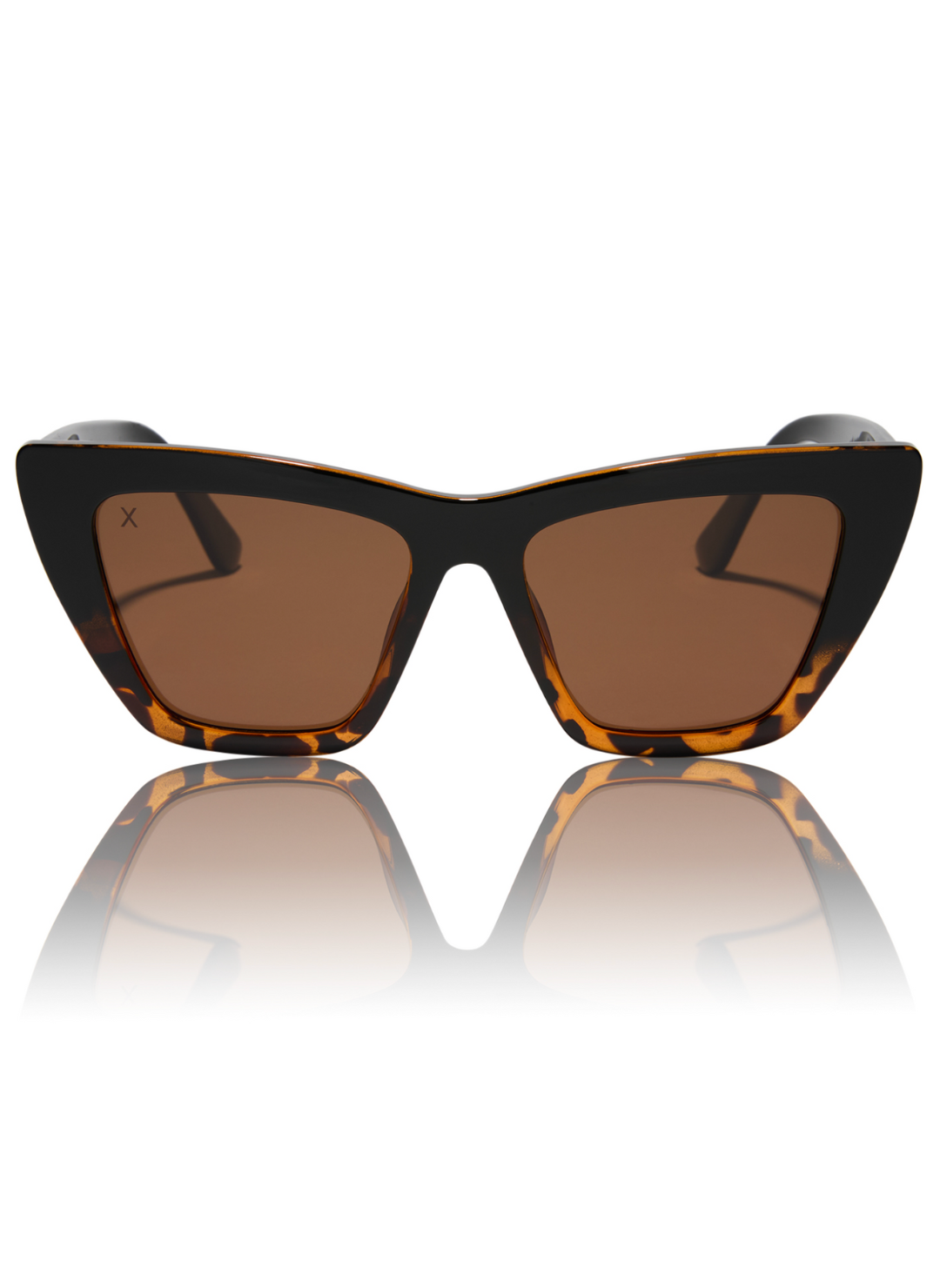 WINDSOR BLACK TORTOISE + BROWN POLARIZED