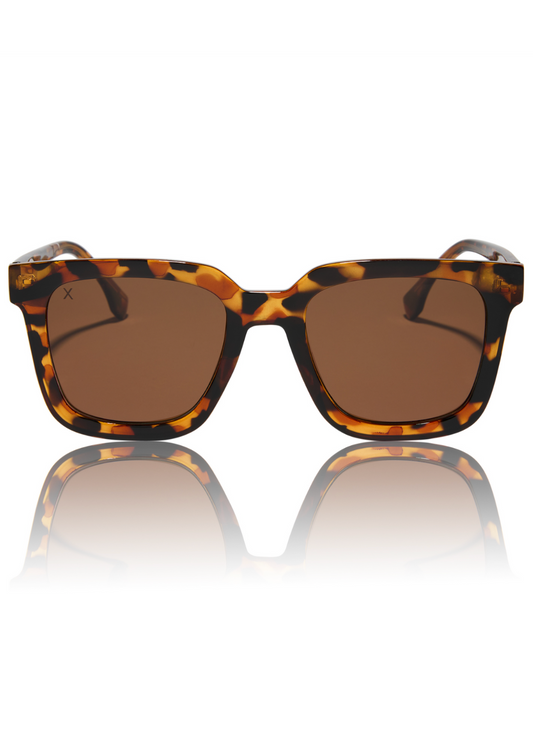 MALIBU TORTOISE + BROWN POLARIZED