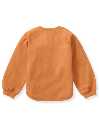 Orange sweatshirt on a white background