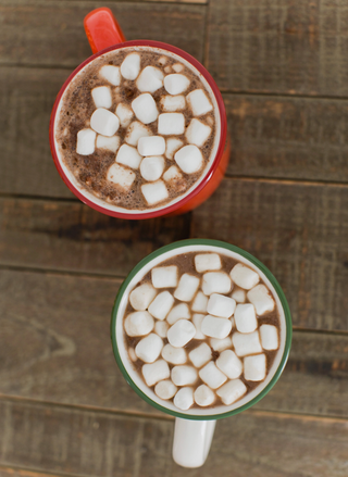 Oh What Fun Christmas Camper Mug